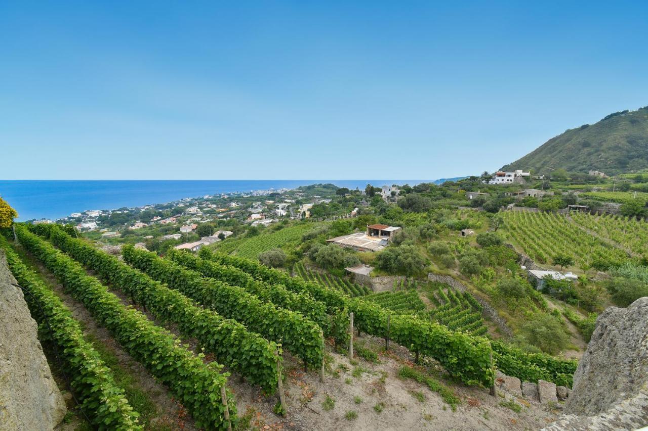 Tenuta C'Est La Vie Форио Экстерьер фото